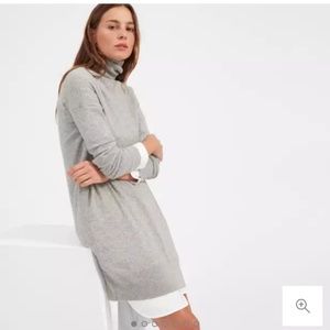 Everlane cashmere turtleneck sweater dress
